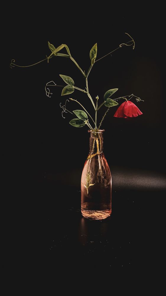 Photograph by Людмила Казак