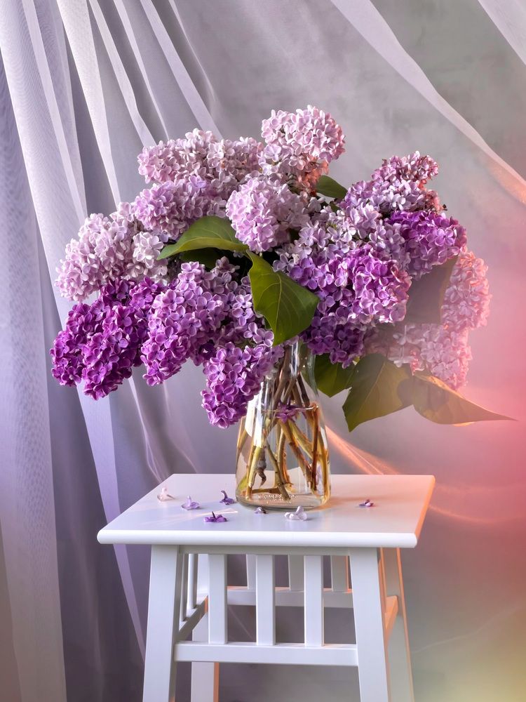 Photograph by Ирина Сибукова