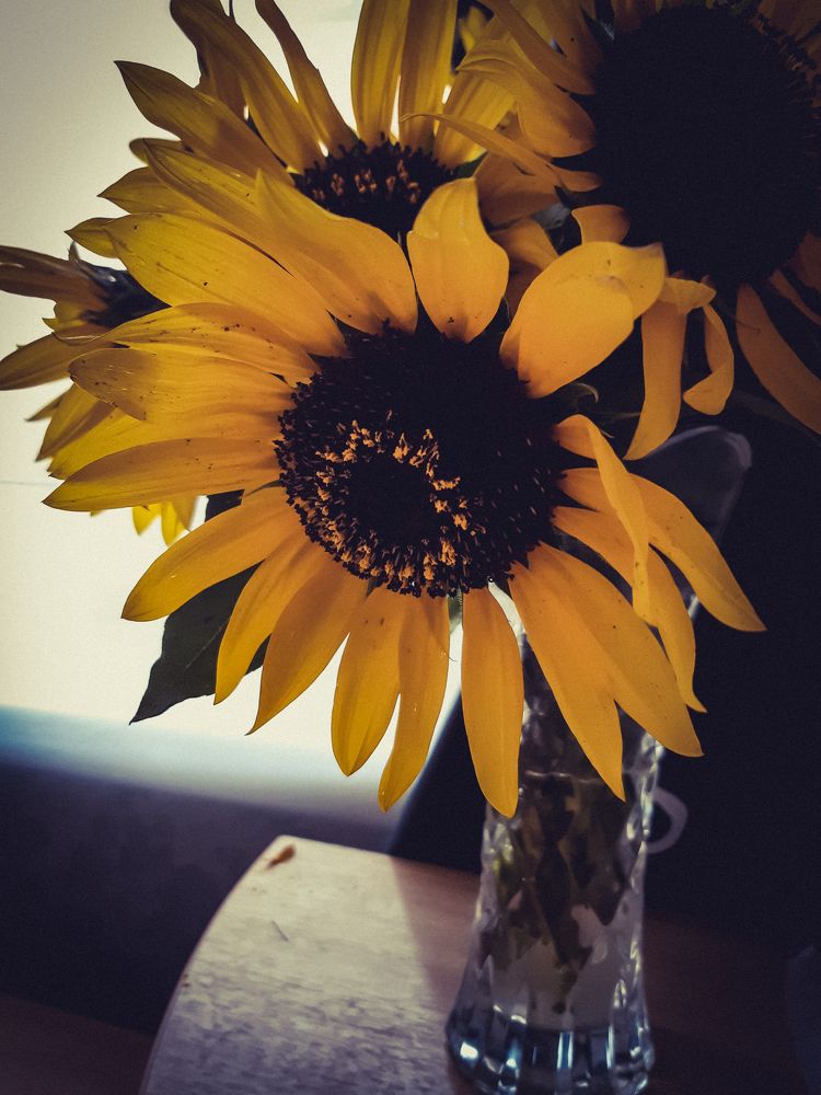 Photograph by Елена Безгинова