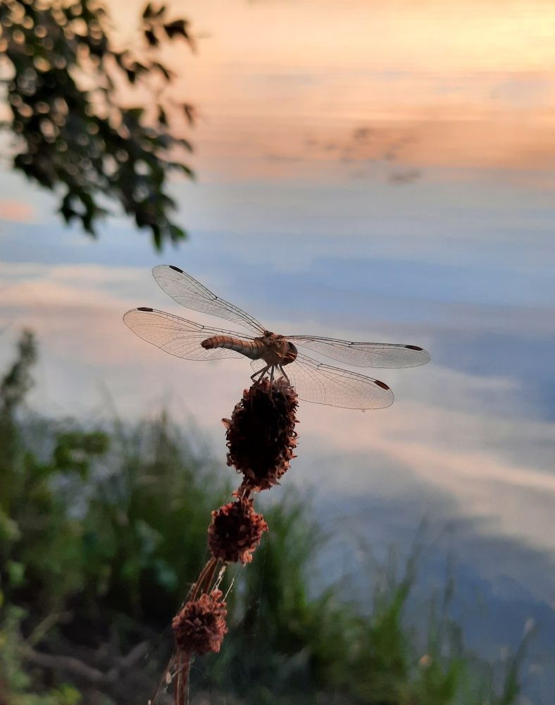 Фотография автора Olga Kunakova