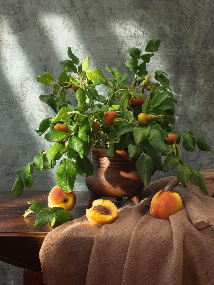 Photograph by Ольга Репина