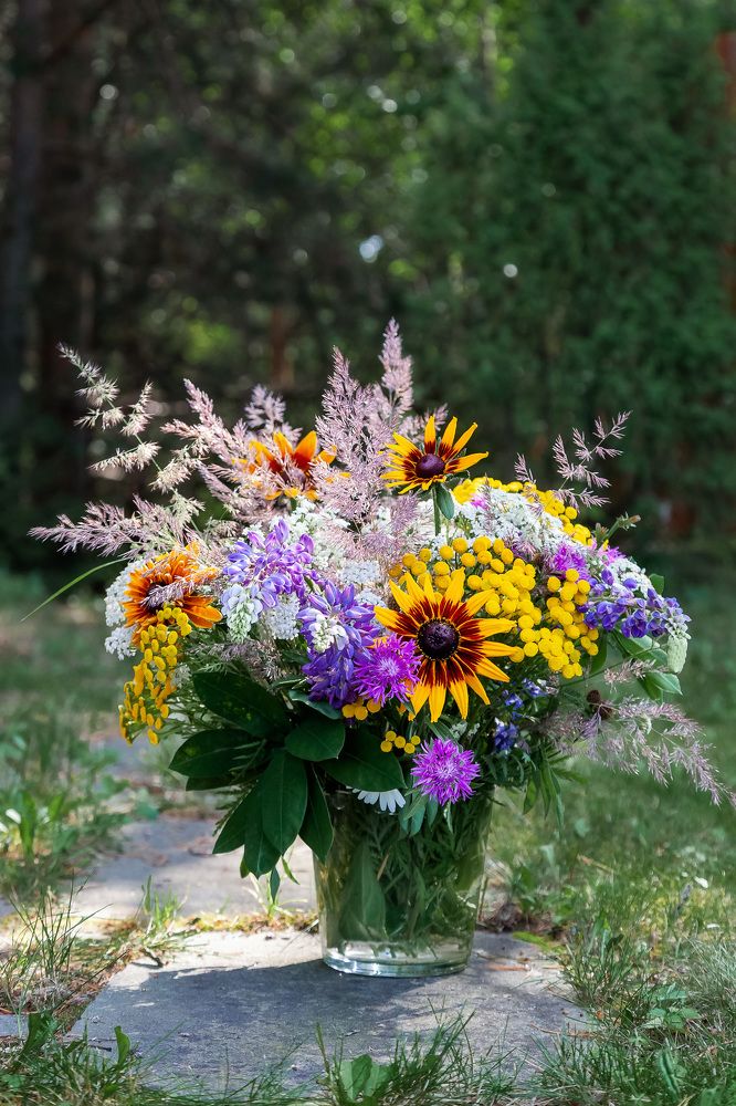 Фотография автора Альбина Кадочникова