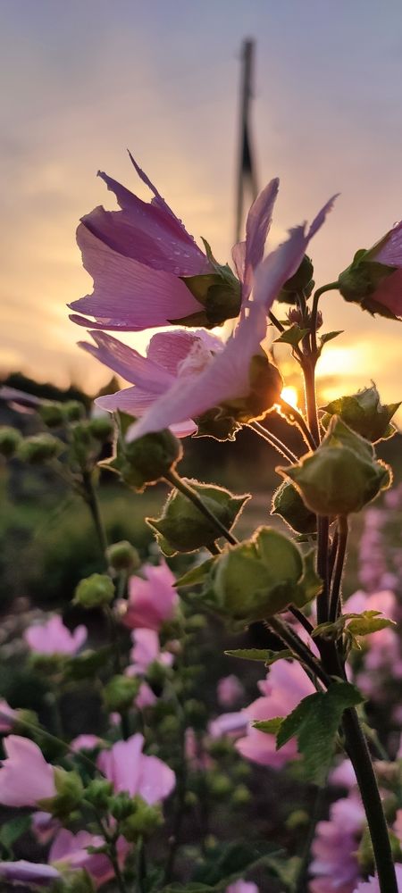 Photograph by Анна Якимова