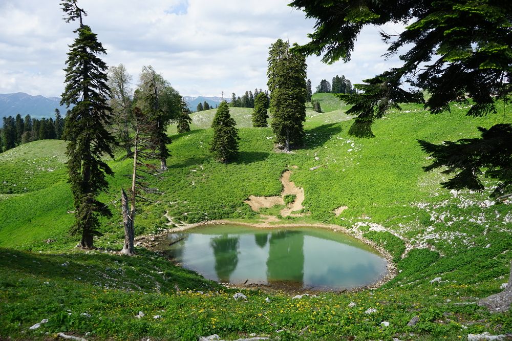 Photograph by Прохоров Алексей