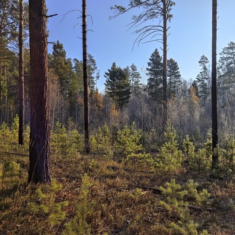 Photograph by Елена