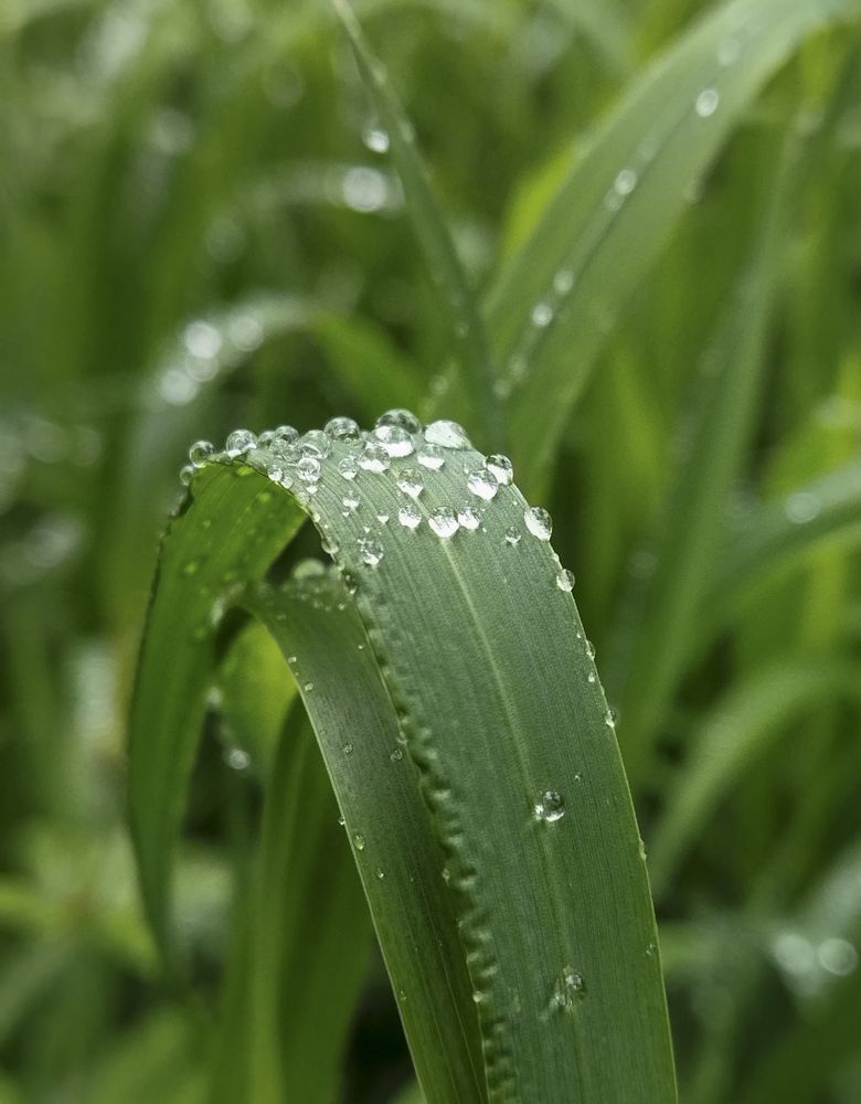 Photograph by Елена