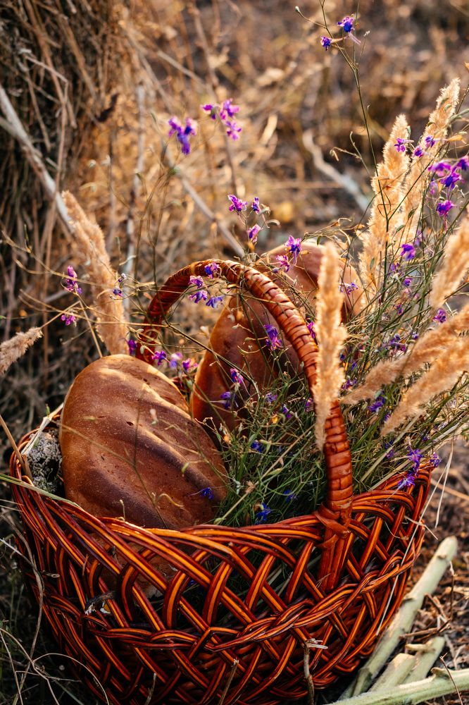 Photograph by Анастасия Мокану