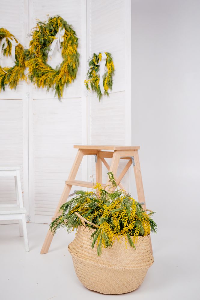 Photograph by Анастасия Мокану