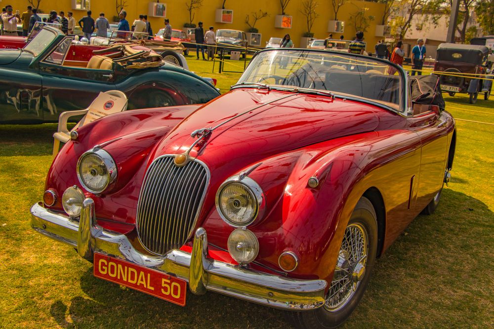 Фотография автора Manish Bhavsar