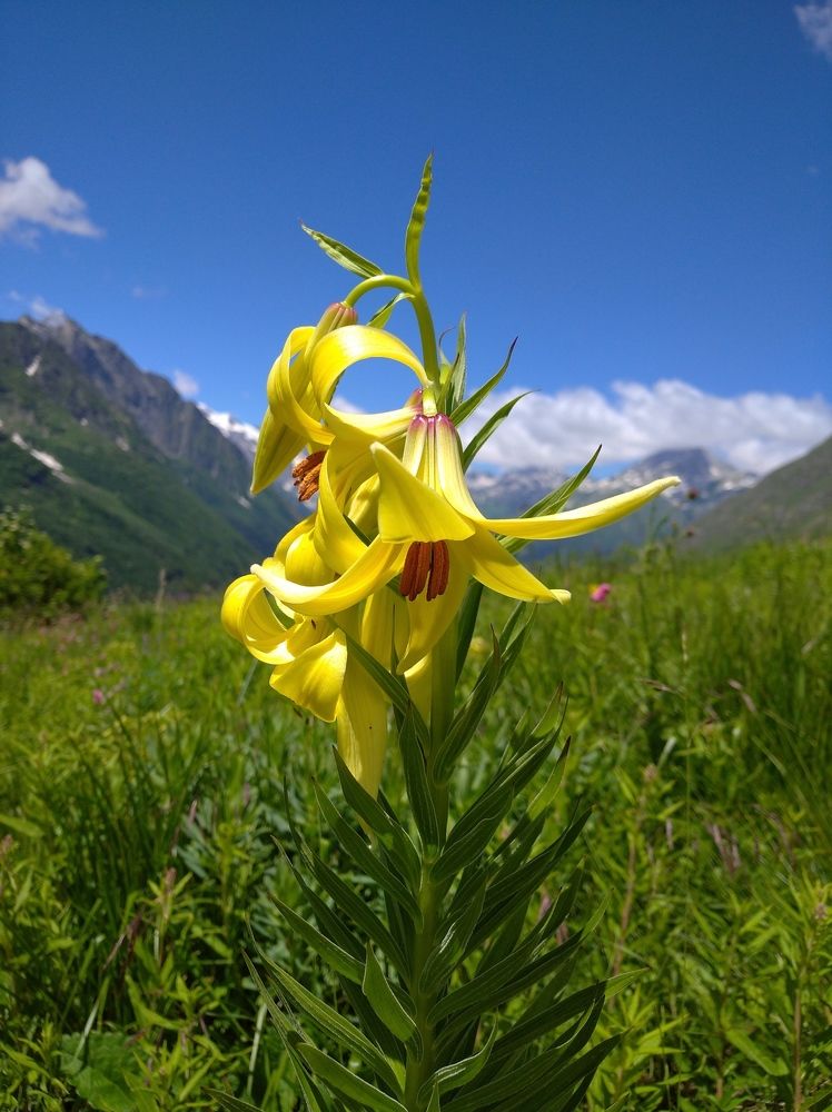 Photograph by Зенина Светлана