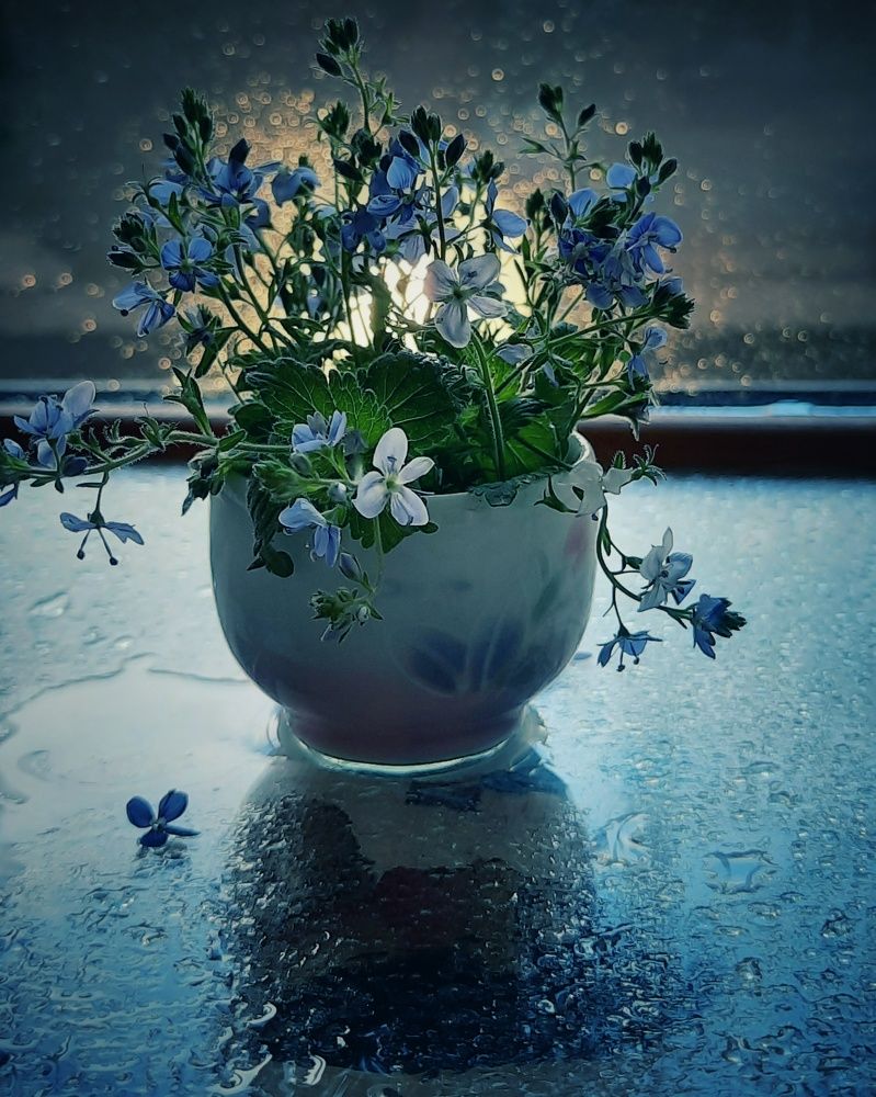 Фотография автора Olga Kunakova