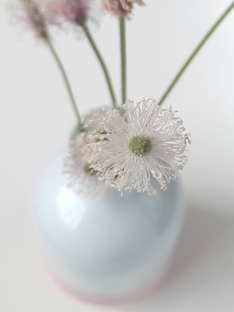 Фотография автора Olga Kunakova