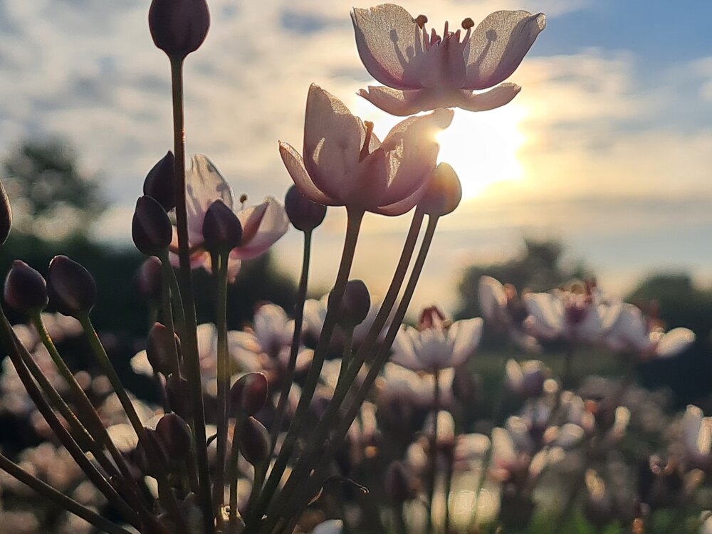 Photograph by Екатерина
