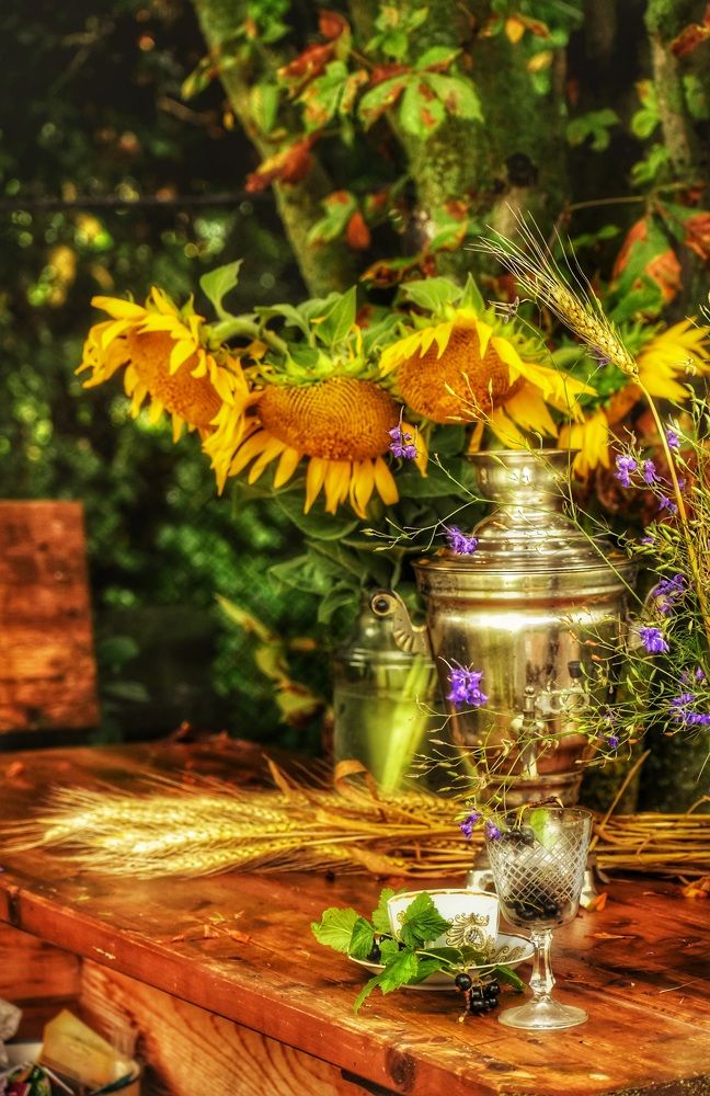 Photograph by Алёна Попова