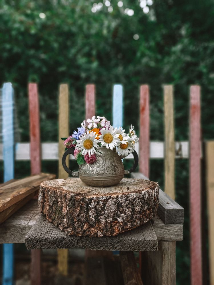 Photograph by Ирина Сергеева