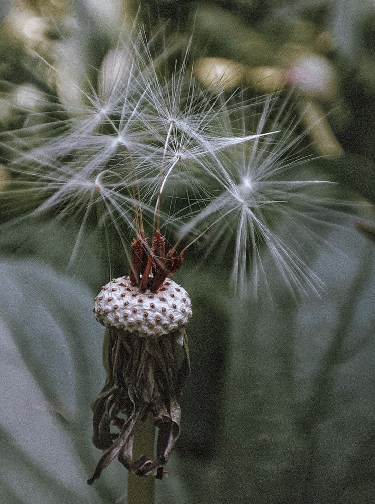 Photograph by Анастасия
