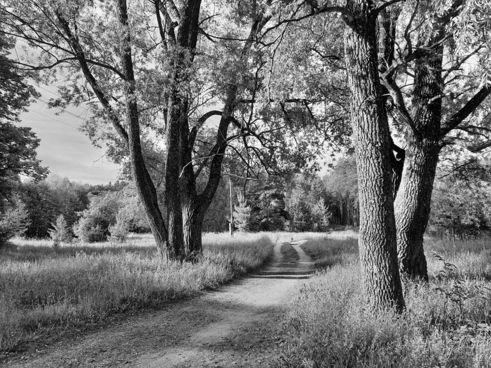 Photograph by Татьяна Новик