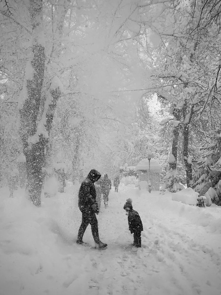 Photograph by Татьяна Семёнова