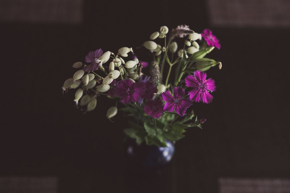 Photograph by Фёдорова Анастасия