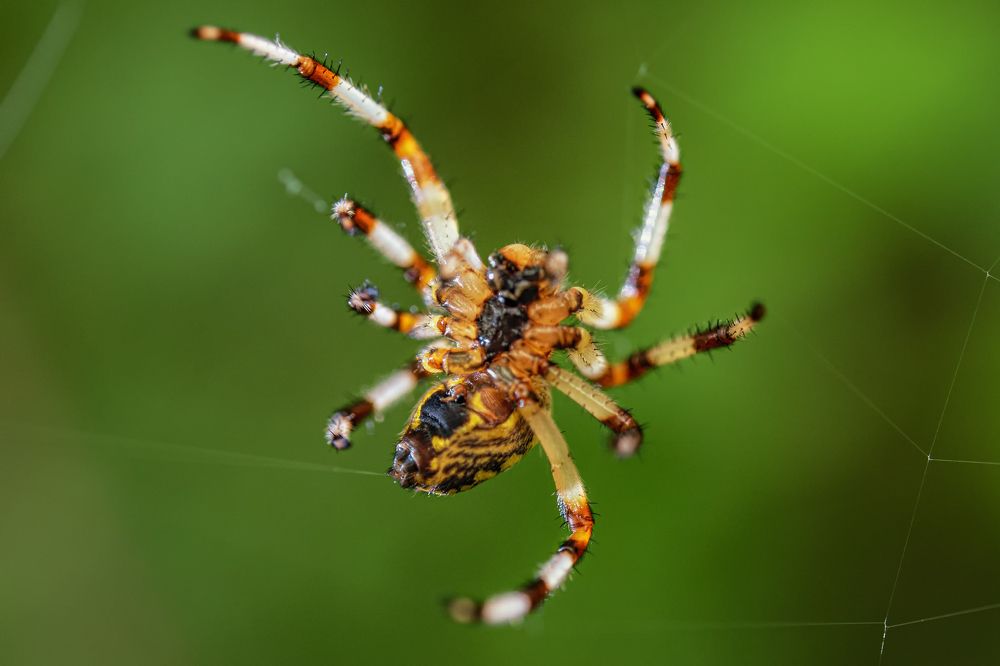 Photograph by Константин Костин