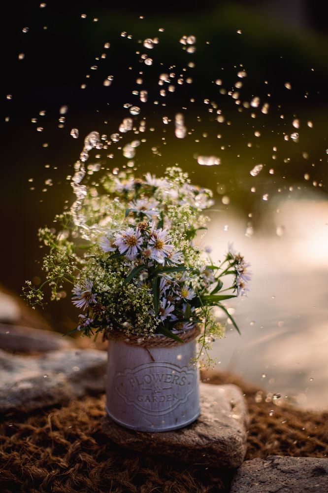 Photograph by Елена Щенина