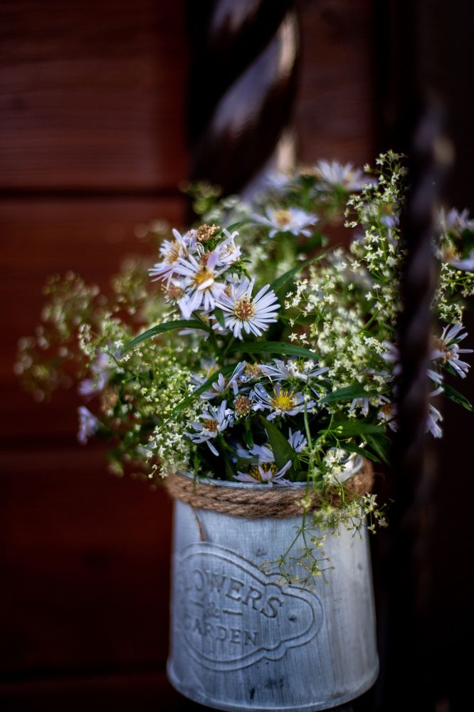 Photograph by Елена Щенина