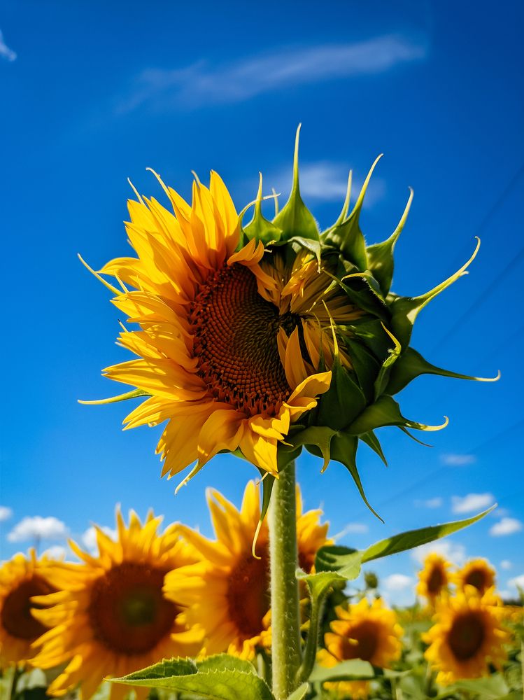 Photograph by Елена Чиркова