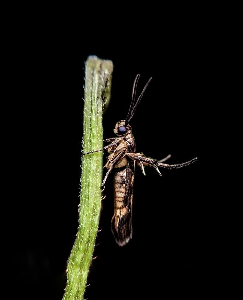 Photograph by Sai Pixels