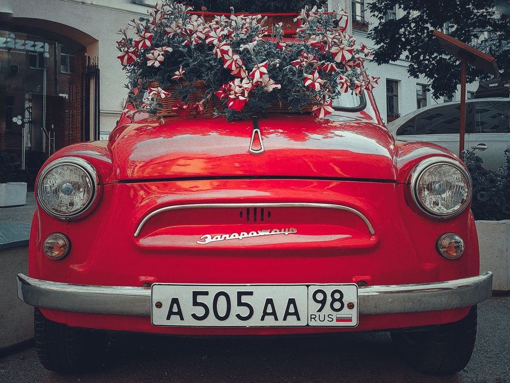 Photograph by Анастасия Гаврилова