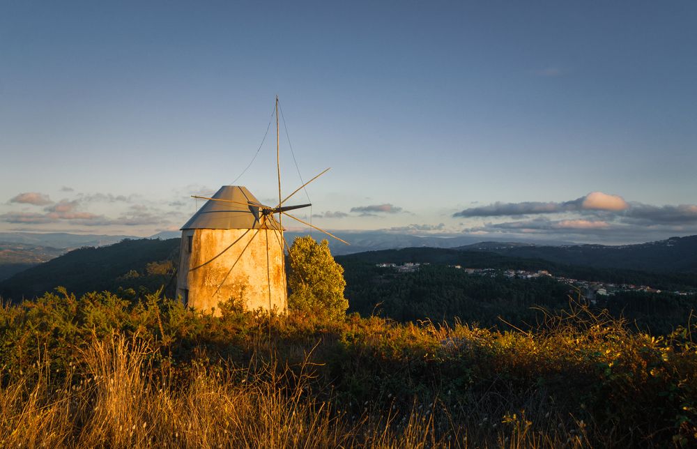 Photograph by Veaceslav Chisalita