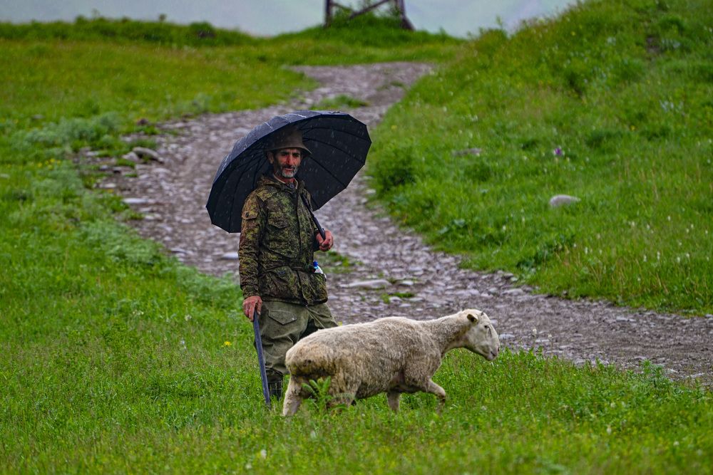 Photograph by Инна Гаджиева