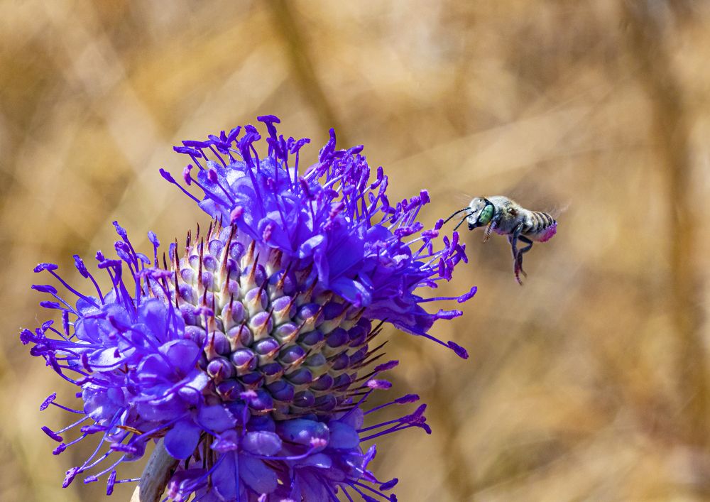 Photograph by Сергей Пак