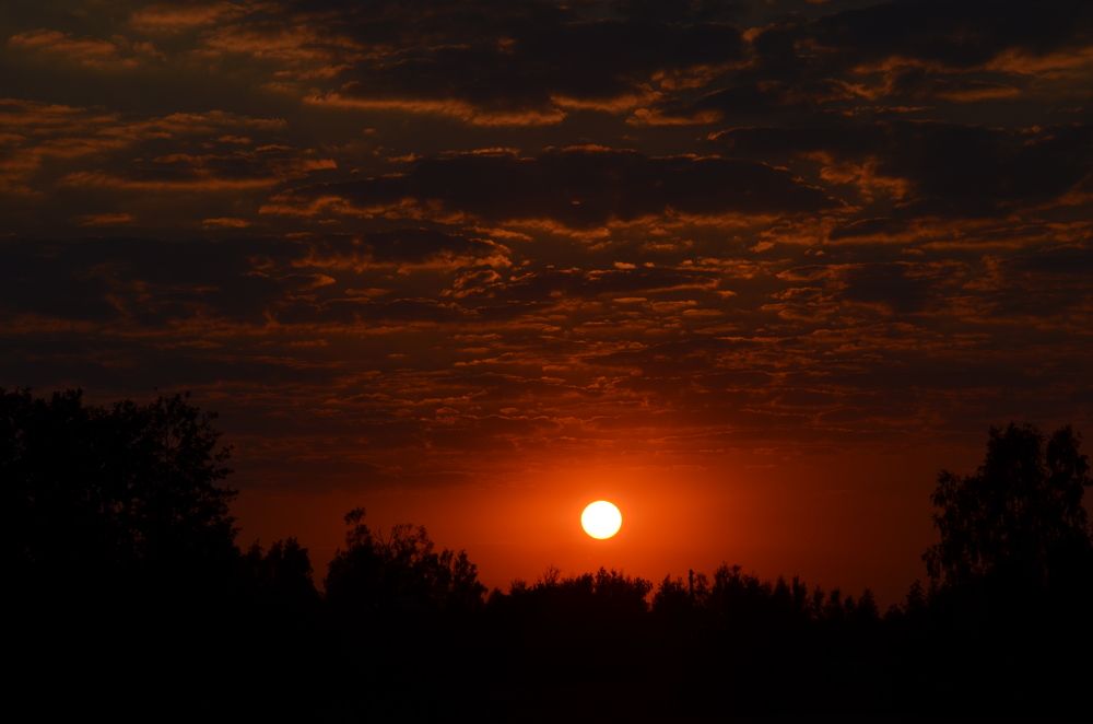 Photograph by Екатерина