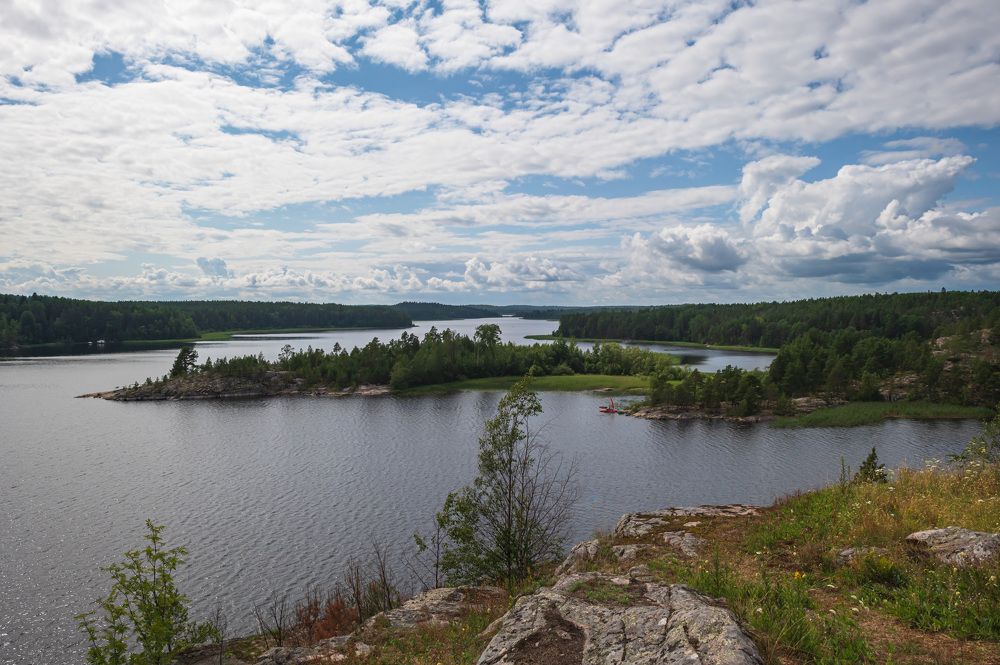 Photograph by Юлия Лис-а