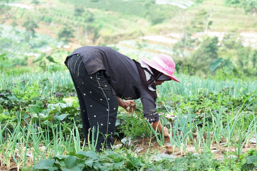 Photograph by Ari Dwi Timurti