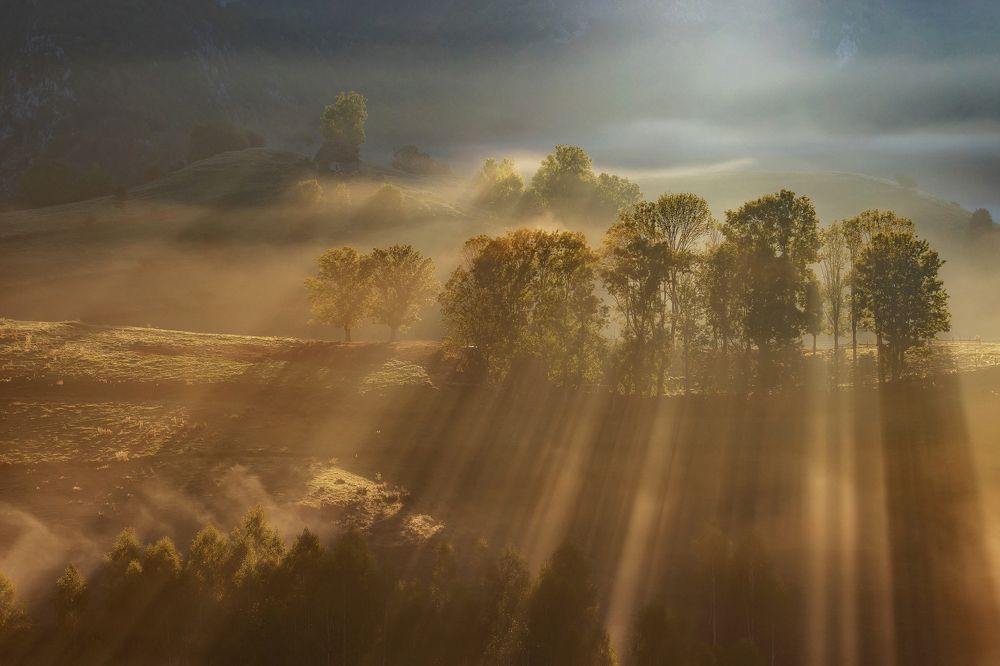 Photograph by Alex Coman