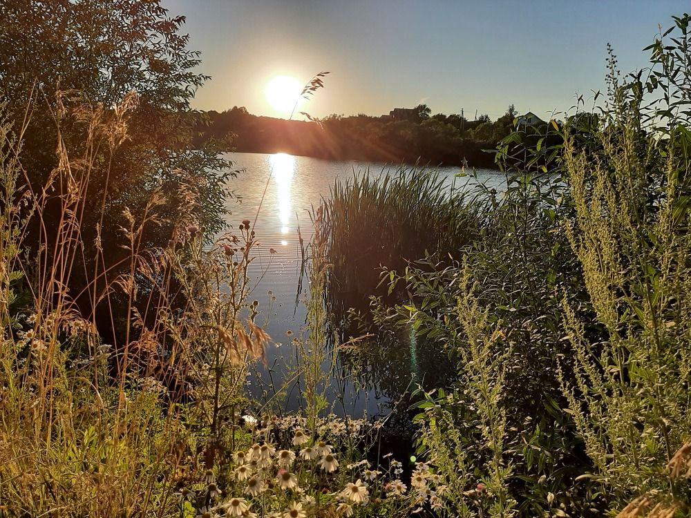 Photograph by Elena Goreva