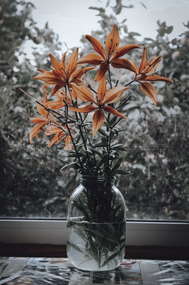 Photograph by Астафьев Андрей