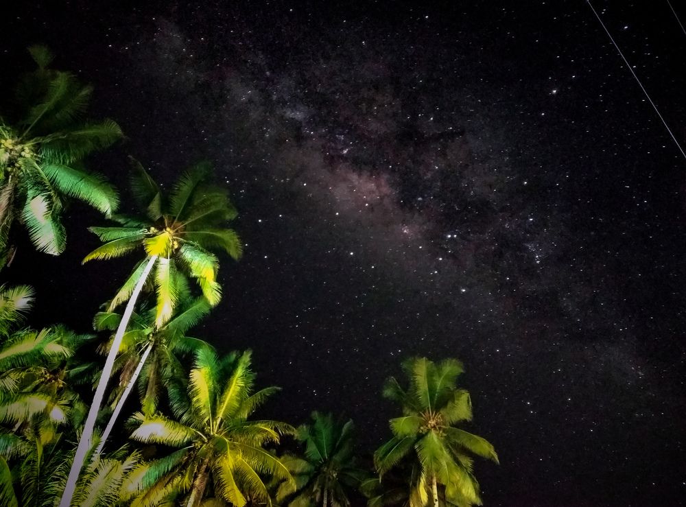 Photograph by Andrianto