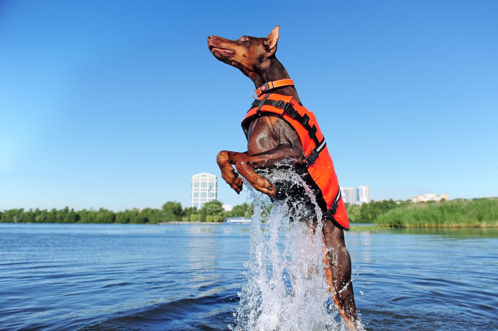 Photograph by Татьяна Калмацуй