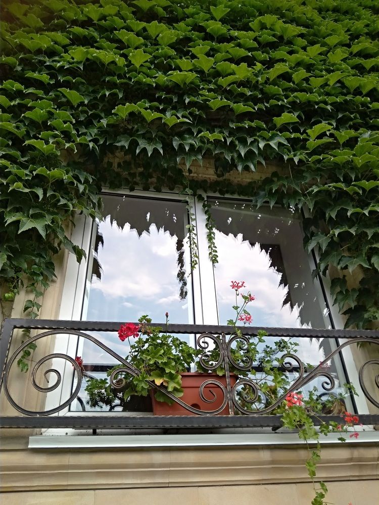 Photograph by Elena Goreva