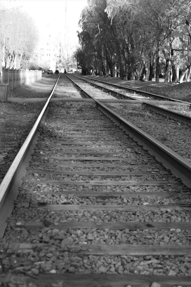 Photograph by Надежда Яковлева