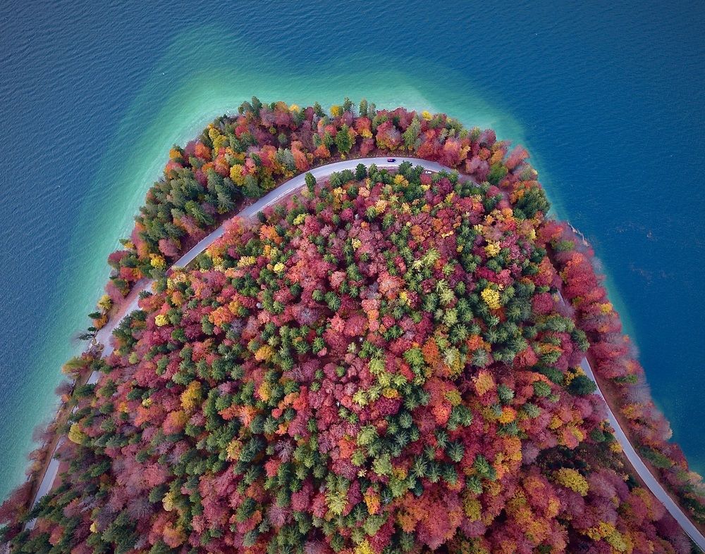 A "volcano" of autumn colors