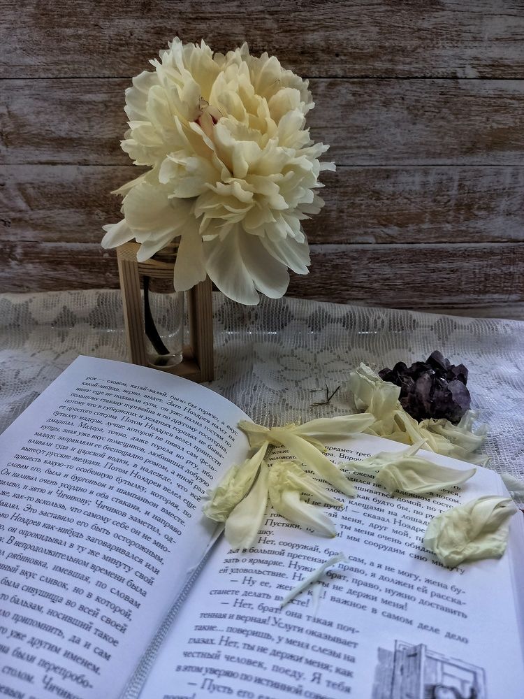 Photograph by Анастасия