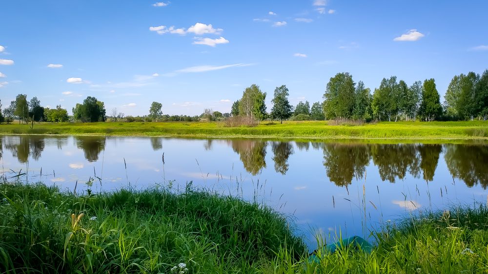 Фотография автора Maxwellion