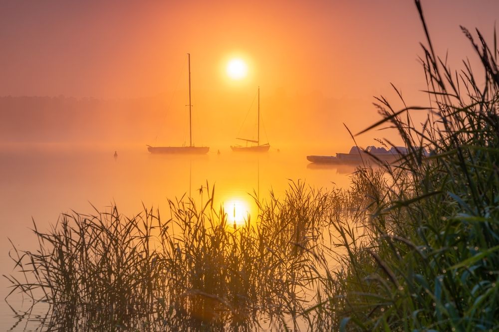 Photograph by Сергей Гук