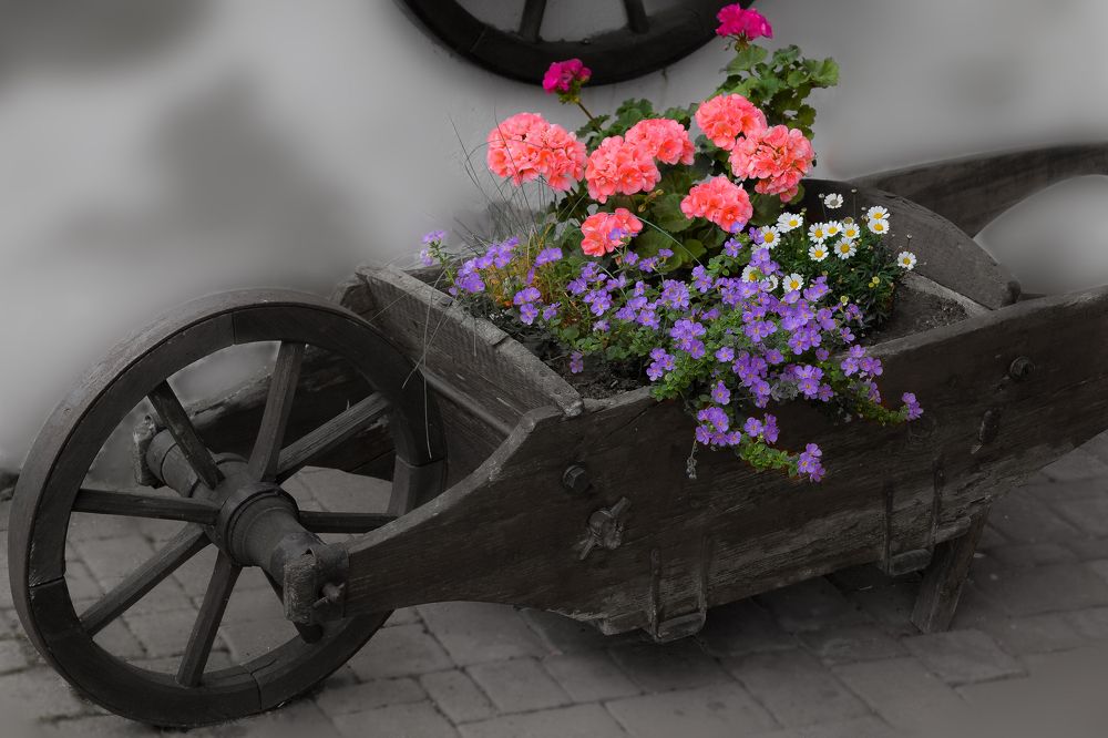 Photograph by Artur Tsvaygenbaum