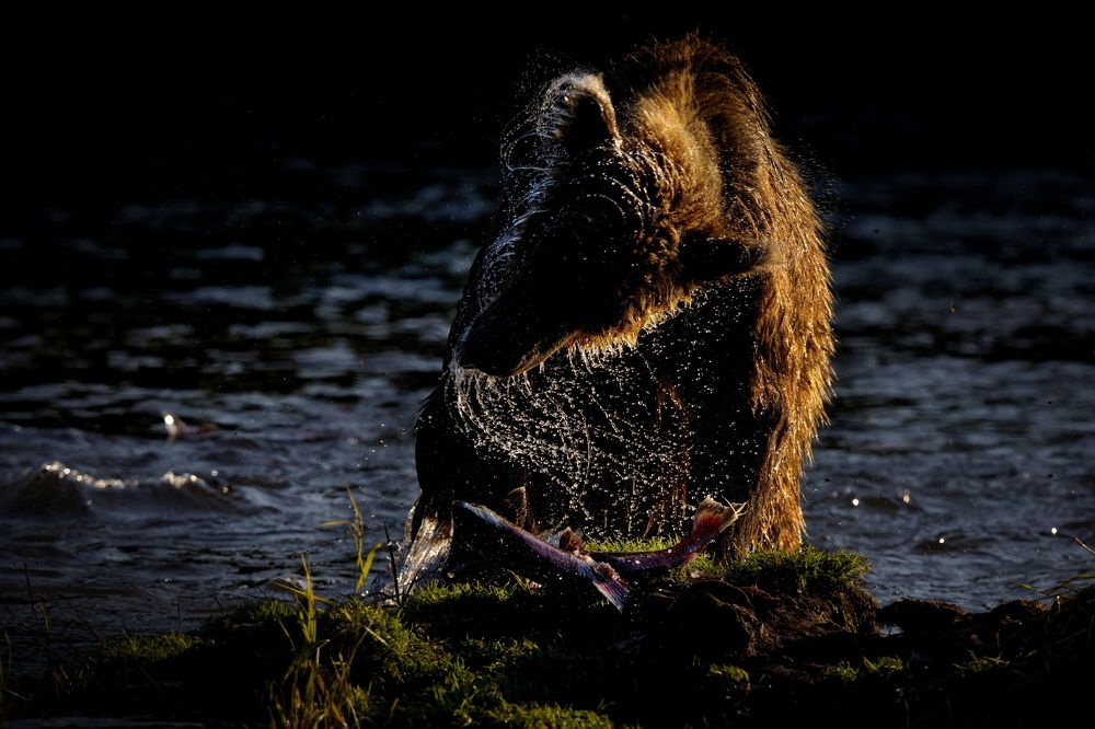 Ужин с пристрастием
