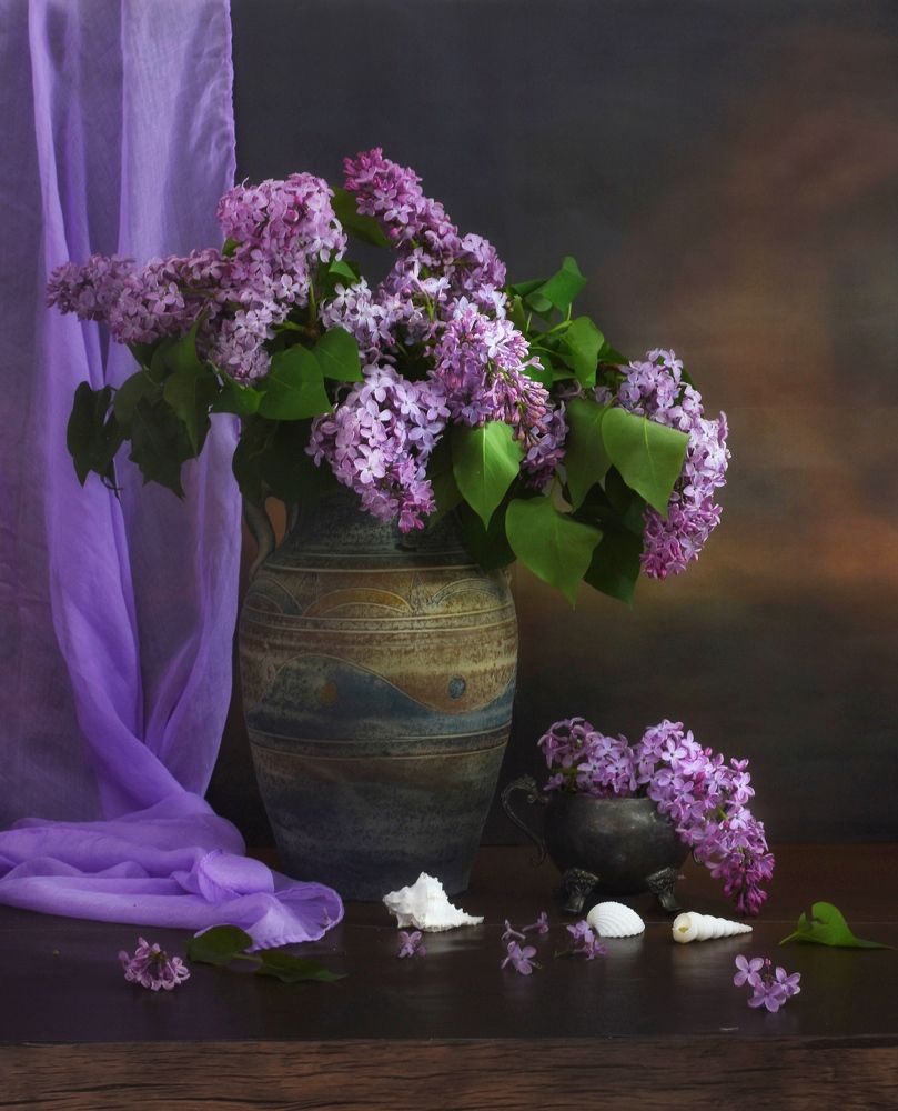 Фотография автора Phwar Cho