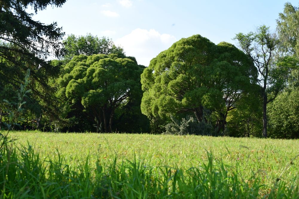 Photograph by Наталья Еременко